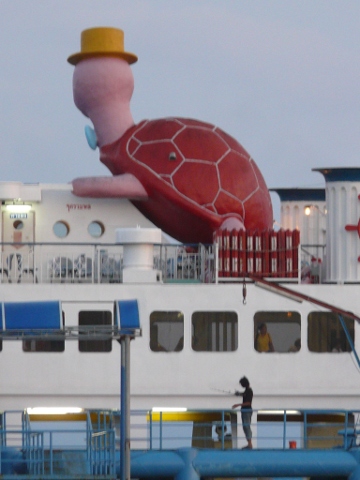 turtle on ferry